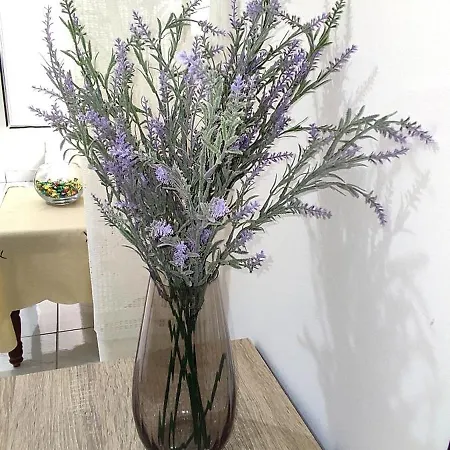 Anastasia Studio * 카발라